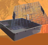 Humane Squirrel Trap